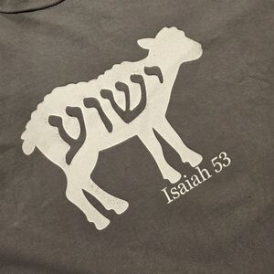 Isaiah 53 Yeshua Jesus Christian Messianic T-shirt 3x